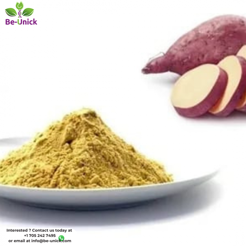 100% Sweet Potato Flour, Gluten Free from Brasile